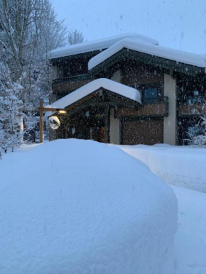 Wildflower condo, Sun Valley